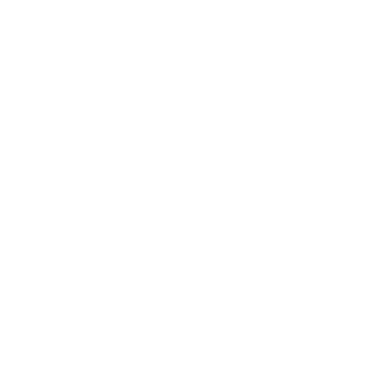 Sae Institute